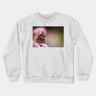 Red Admiral Butterfly Crewneck Sweatshirt